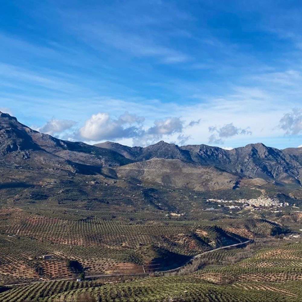 Paisaje de alta montaña en Cambil, Jaén, donde se producen nuestros aceites ecológicos.